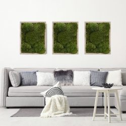 MossPure Live Moss Air Filter Frame