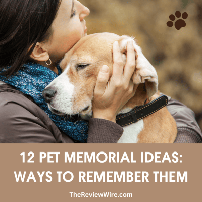 12 Pet Memorial Ideas: Ways to Remember Them Forever