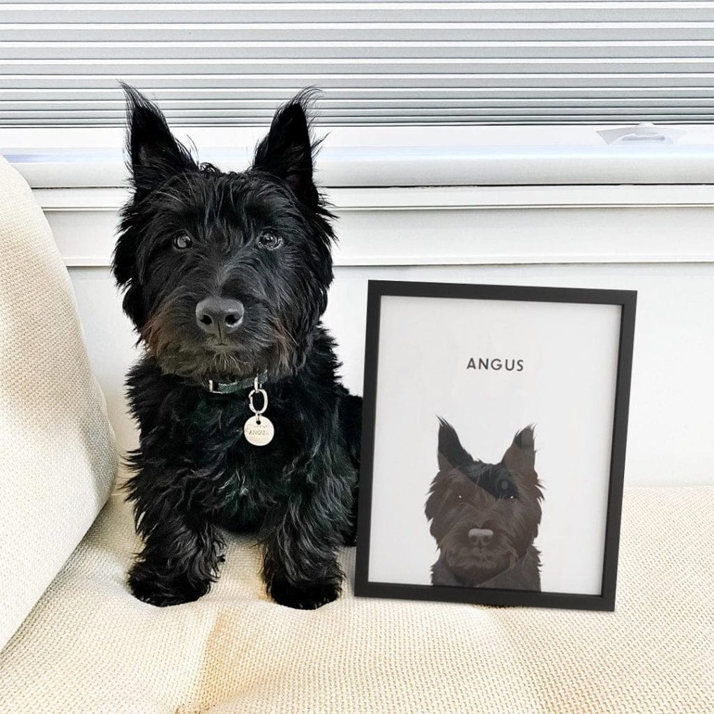 12 Pet Memorial Ideas: Ways to Remember Them Forever_Crown and Paw Personalized Pet Portrait