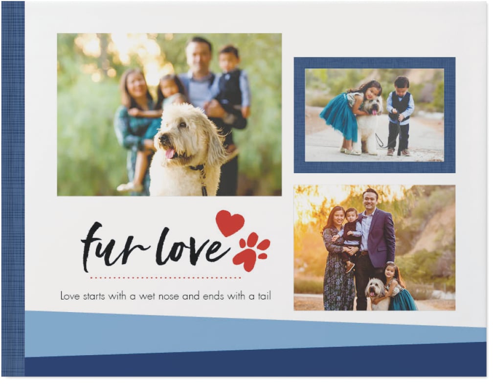 12 Pet Memorial Ideas: Ways to Remember Them Forever_Shutterfly Pet Lover Photo Book