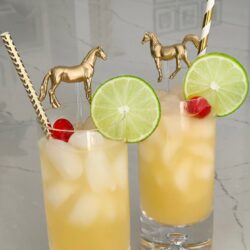 Horse Drink Stirrers