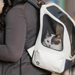 PetSafe Happy Ride Backpack Pet Carrier