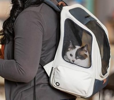 PetSafe Happy Ride Backpack Pet Carrier
