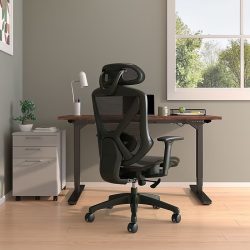 Staples Dexley Ergonomic Mesh Swivel Task Chair