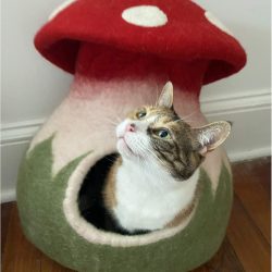 100% Wool Felt Mushroom Cat Cave Bed