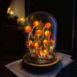 Enchanted Mushroom Forest Night Light