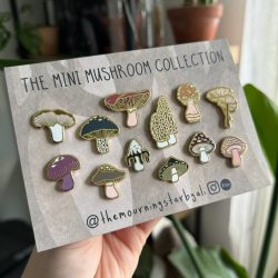 Mini Mushroom Pin Collection