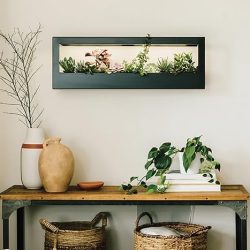 Modern Sprout Smart Landscape Growframe