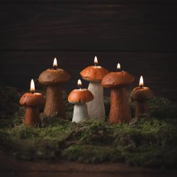 Mushroom Candles