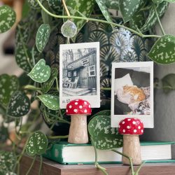 Mushroom: Handmade Clay Photo Holder