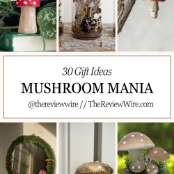 Mushroom Mania Gift Guide (2026)
