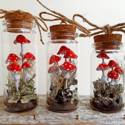 Mushroom Terrarium Jar