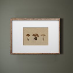 Vintage Mushroom Printable Wall Art