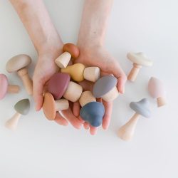 Wooden Mushroom Toys