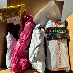 FunDelivered Mystery Box Experience