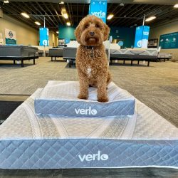 Verlo Pet Beds