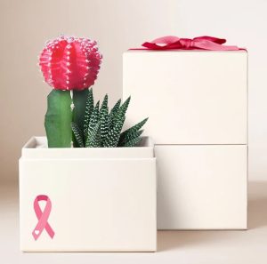 Lula's Garden Pink Ribbon Collection