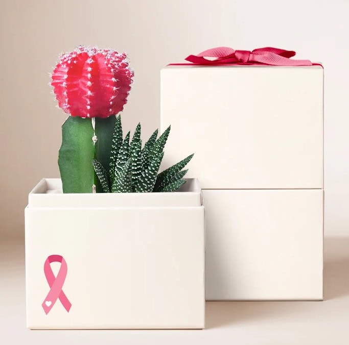 Lula's Garden Pink Ribbon Collection 1 Lula's Garden Pink Ribbon Collection