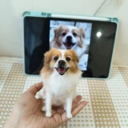 Custom Needle Felted Dog Figurine 15 Custom Needle Felted Dog Figurine